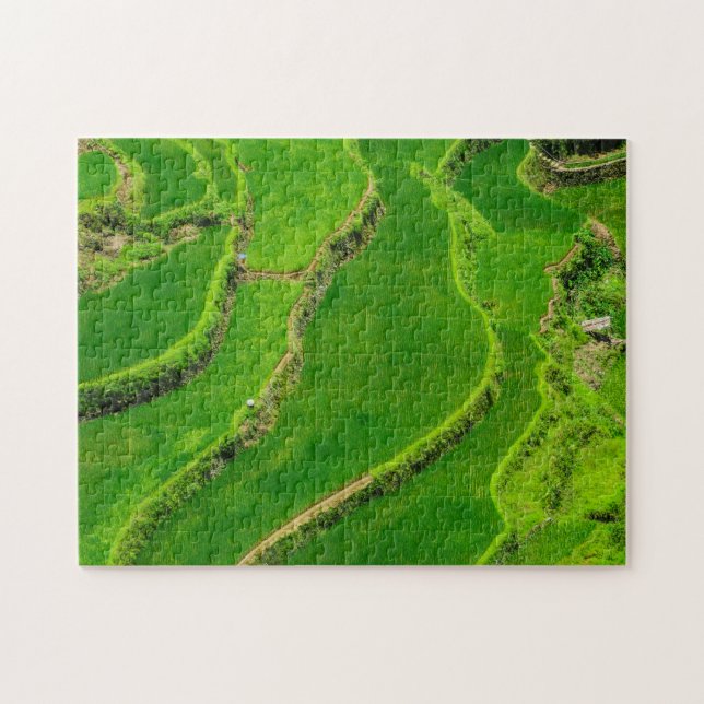 Rice Terraces Jigsaw Puzzle (Horizontal)