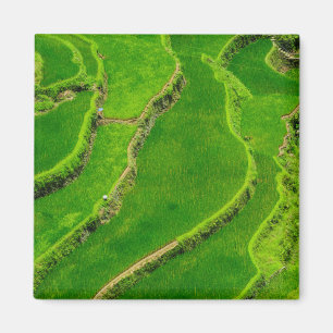 Rice Terraces Magnet