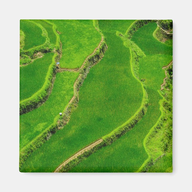 Rice Terraces Magnet (Front)