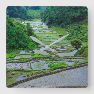 Rice Terraces of Banaue, Luzon Square Wall Clock