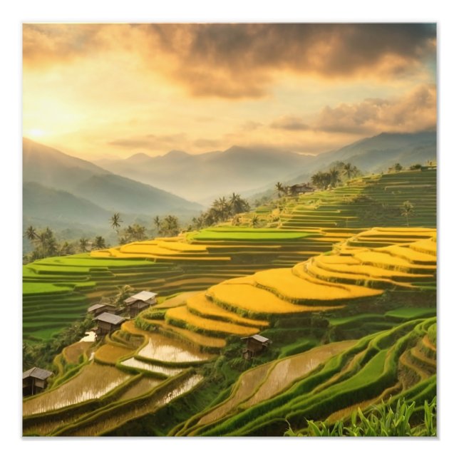 Rice Terraces Sunrise Photo Print (Front)