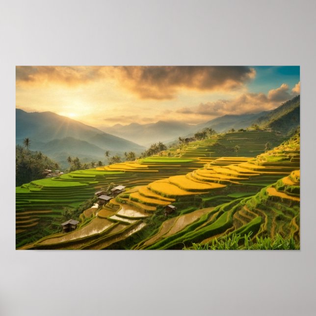 Rice Terraces Sunrise Poster (Front)