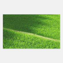 Rice Terraces Yamada's Rice Fields Japan