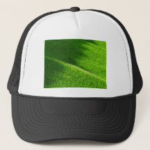 Rice Terraces Yamada's Rice Fields Japan