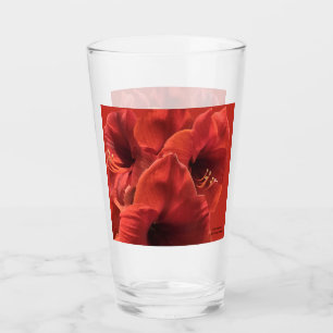 Rich Earthy Ruby Red Amaryllis Photo Glass