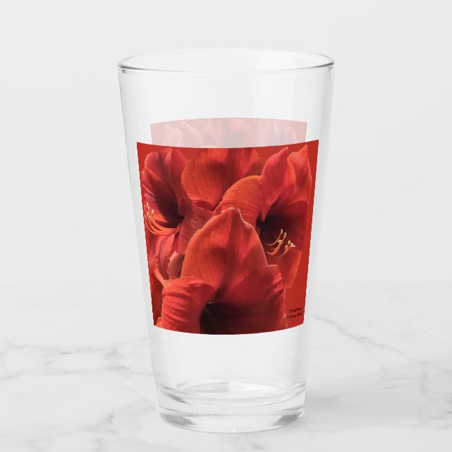 Rich Earthy Ruby Red Amaryllis Photo Glass (Front)