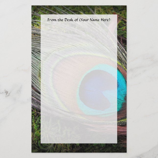 Rich, Elegant Peacock Feather Photograph Stationery (Front)