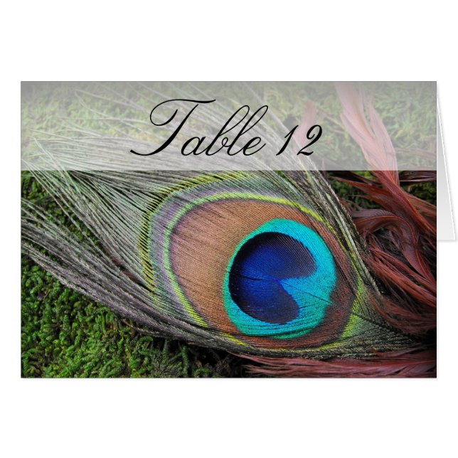 Rich Peacock Feather/Green Moss Table Number (Front Horizontal)