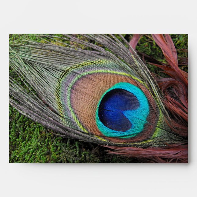 Rich Peacock Feather with Green Moss Envelope (Front)