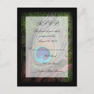 Rich Peacock Feather with Green Moss RSVP Reply Invitation Postcard