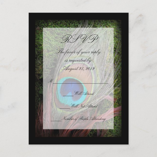 Rich Peacock Feather with Green Moss RSVP Reply Invitation Postcard (Front)