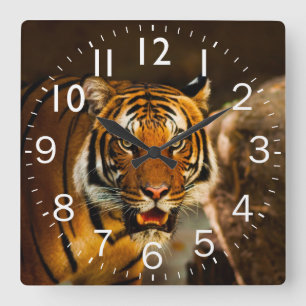 Rich Vibrant Tiger Square Wall Clock