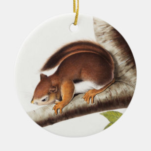 Richardson's Columbian Squirrel Illustration Ceramic Ornament