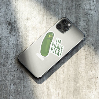 RICK AND MORTY™ | Flip The Pickle
