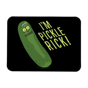 RICK AND MORTY™   Flip The Pickle Magnet