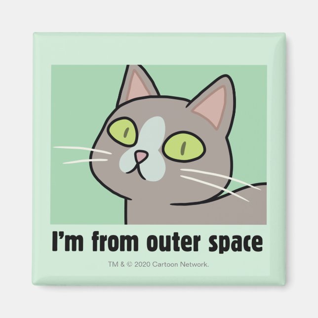 RICK AND MORTY™ | I'm From Outer Space Magnet (Front)