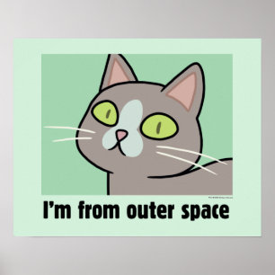 RICK AND MORTY™ I'm From Outer Space Poster