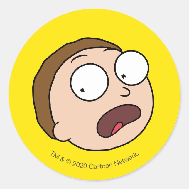 RICK AND MORTY™ | Morty's Moods Classic Round Sticker (Front)