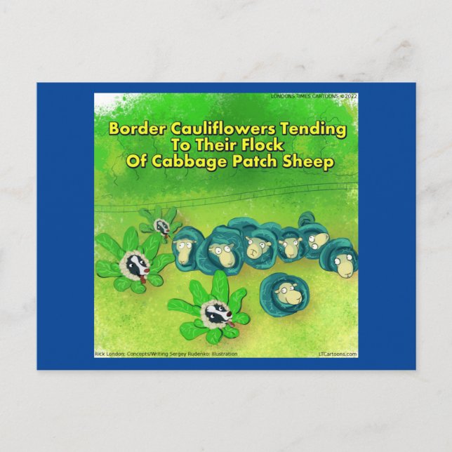 Rick London Funny Border Collie Flower Comic  Postcard (Front)