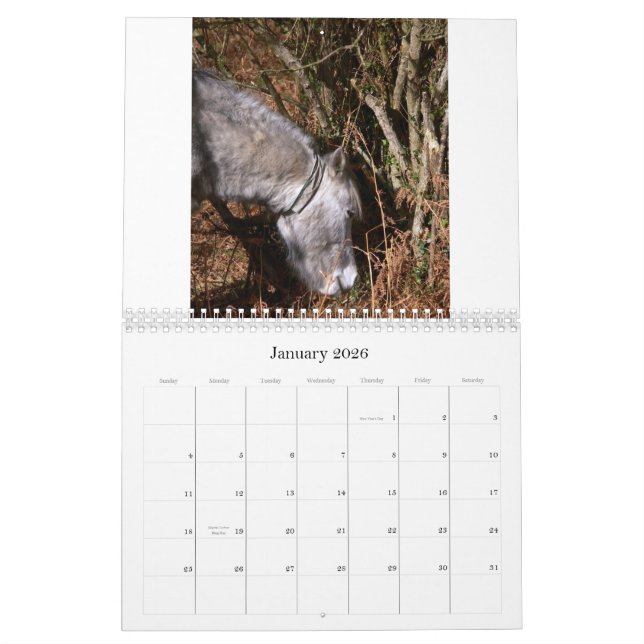 Ricks 2008 Random Pics C... Calendar (Jan 2026)