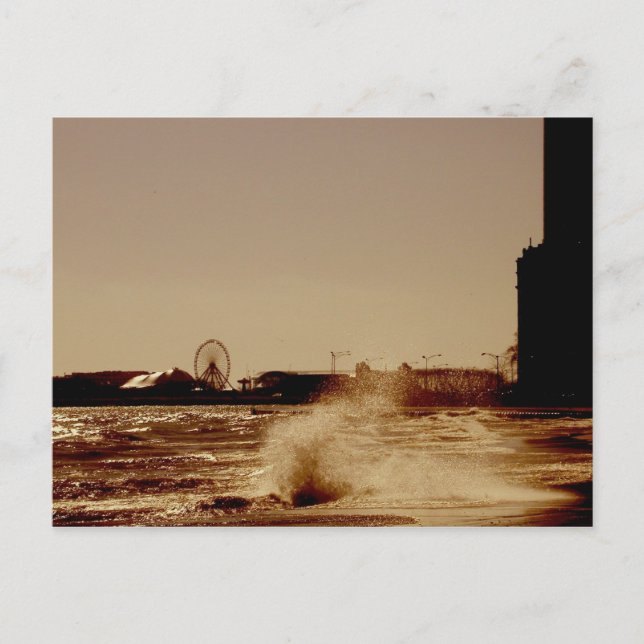 Ride the Ferris Wheel at Navy Pier in Chicago Postcard (Front)