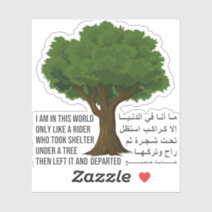 Rider Hadith