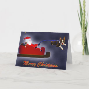 Rider the Red Nosed Boston Terrier Card