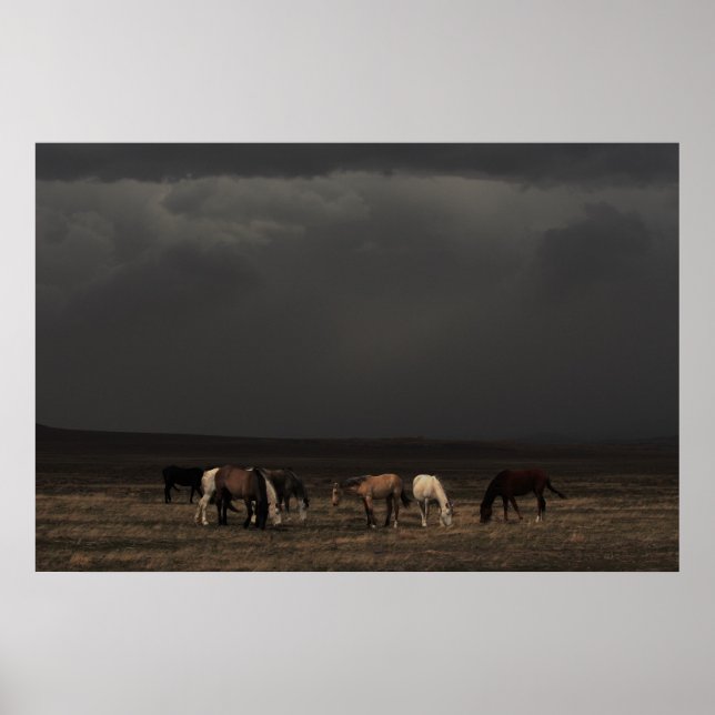 Riders Of The Storm Poster (Front)