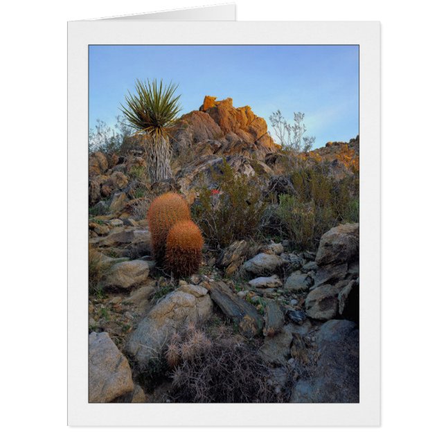 "Ridge Route Colours" (Front)