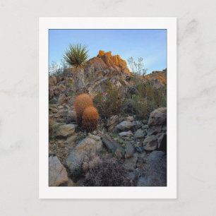 "Ridge Route Colours" Postcard