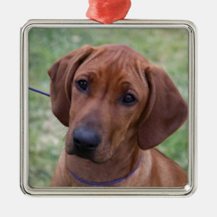 Ridgeback Puppy Metal Tree Decoration