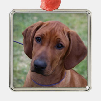 Ridgeback Puppy Metal Tree Decoration