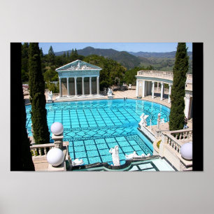 Ridiculous Pool Poster