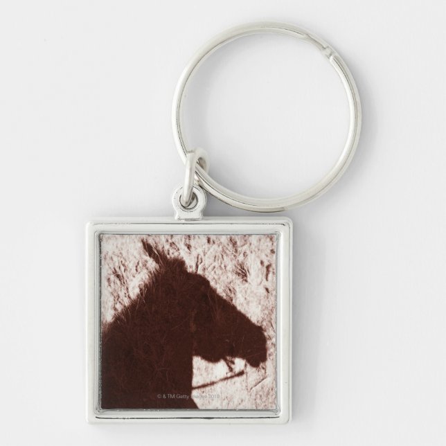 riding horse's head shadow on trail floor Jasper Key Ring (Front)