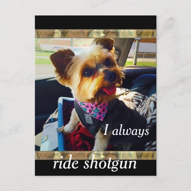 Riding Shotgun Yorkie Personalise Postcard (Front)