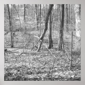 Ridley Creek State Park Poster