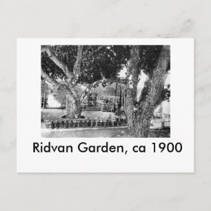 Ridvan Garden - ca. 1900 Postcard