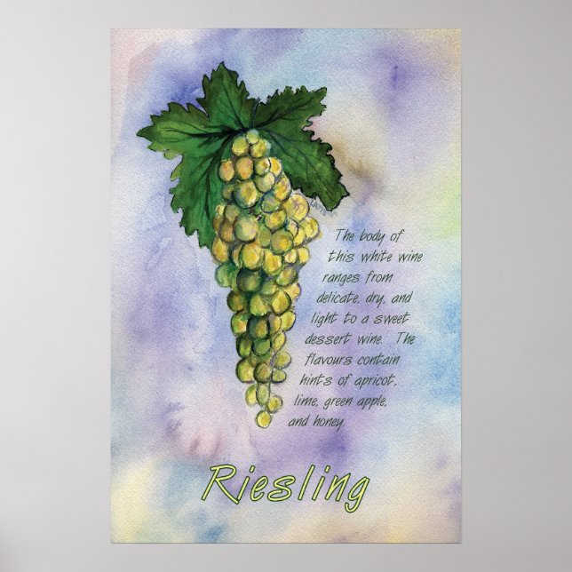 Riesling White Wine Grapes Art Print (Front)
