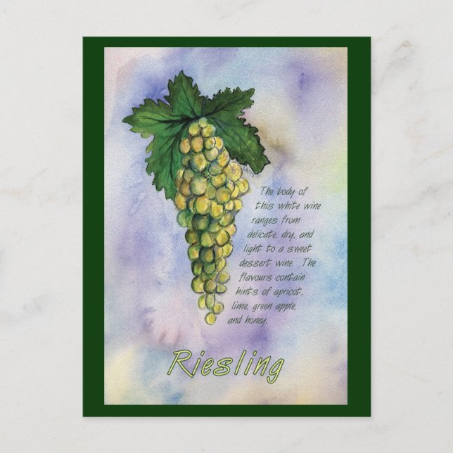 Riesling White Wine Grapes Postcard (Front)