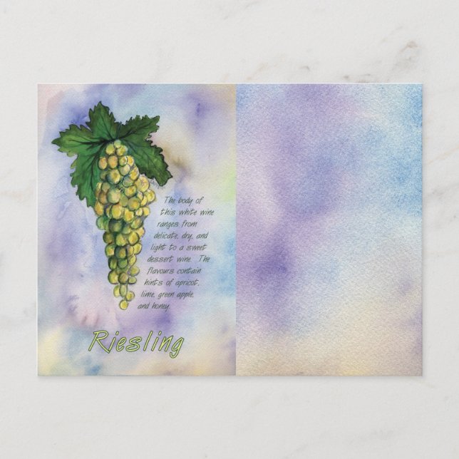 Riesling White Wine Grapes Postcard (Front)