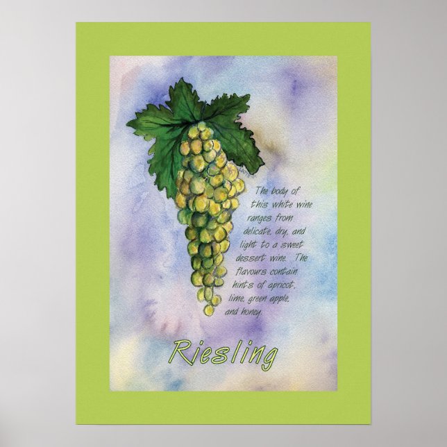 Riesling Wine Grapes Poster (Front)