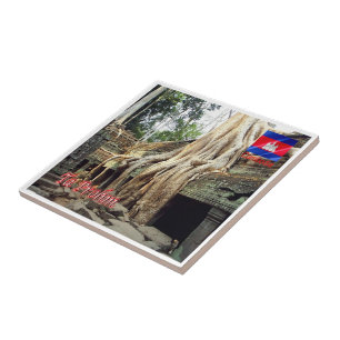 Rif. KH Cambodia, Ta Prohm, Ceramic Tile