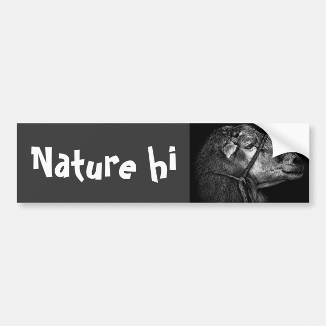 right following bumper sticker (Front)