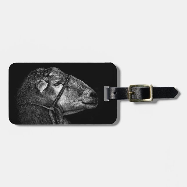 right following luggage tag (Front Horizontal)
