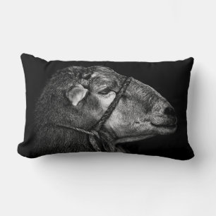 right following lumbar cushion