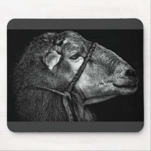 right following mouse pad