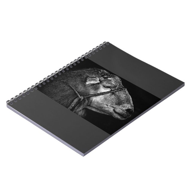 right following notebook (Left Side)