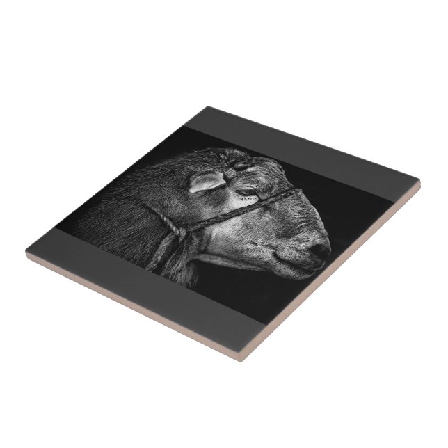 right following tile (Side)