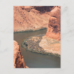 Right Here Postcard