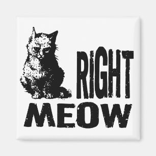 Right MEOW! Funny Evil Kitty Magnet